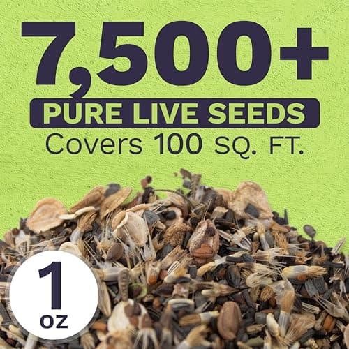 Drought Tolerant Wildflowers Mix – Extra Large Packet – Over 7,500 Open Pollinated Non-GMO Seeds – 21 Different Dryland Species