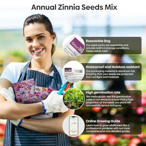 Zinnia Seeds Mix, 1 Oz, Over 3,000 Flowers Seeds, 5 Varieties (Pink, Yellow, Orange, White, Purple), Mixed Colors and Large Blooms,Open Pollinated - Bulk
