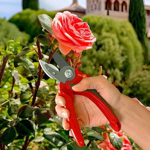 WOLF Garten Anvil Secateurs (RS2500)