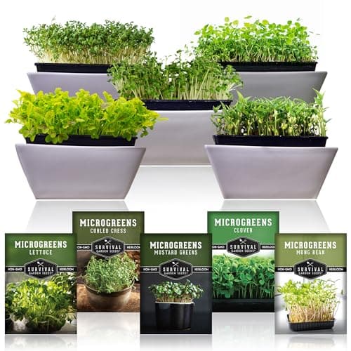 Survival Garden Seeds Microgreens 5 Pack (Seeds Only) - Plant, Sprout, and Grow a Mix of Microgreen Plants in Your Kitchen or on Your Windowsill - Lettuce, Curled Cress, Mung Bean, Mustard, Clover