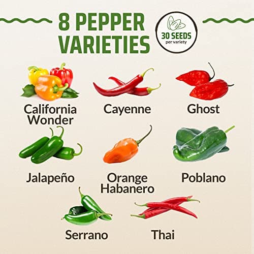 Rooted Acre 8 Varieties Hot Peppers – 240 Heirloom Seeds, 𝗡𝗢𝗡-𝗚𝗠𝗢 𝗨𝗦𝗔-𝗦𝗢𝗨𝗥𝗖𝗘𝗗, High Germination – Includes Ghost, Jalapeño, Serrano, California Wonder & More – Spicy Pepper Garden Mix