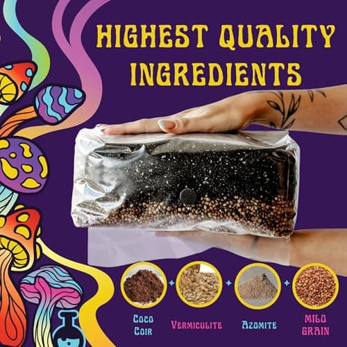 Jumbo All-in-One Mushroom Grow Bag | 6 lb Mushroom Grow Kit | Grows Like Magic | Spores Not Included | Grow Mushrooms at Home | Mushroom Grow Kit | Sterilized Grain with Substrate