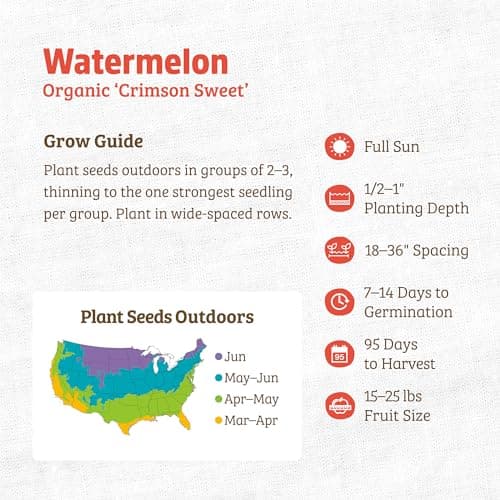 Seed Packet - Watermelon 'Crimson Sweet' 2g
