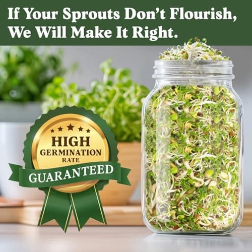 Organic Sprouting Seeds - Salad Blend Variety- Non-GMO, USA Grown Microgreens Mix - Alfalfa, Broccoli, Radish, Mung Bean, Lentil - Makes 8 Quarts of Sprouts, 24 Servings (8 oz) (Salad Blend)