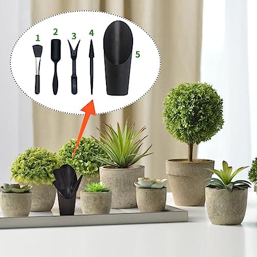 Mini Succulent Tools, 5Pc Succulent Planting Tools Kit for Indoor Planting, Succulent Gardening Tools for Digging, 2 Colors Shovel Scoop Bucket Spoon Brush Outdoor Plant Care (Black)