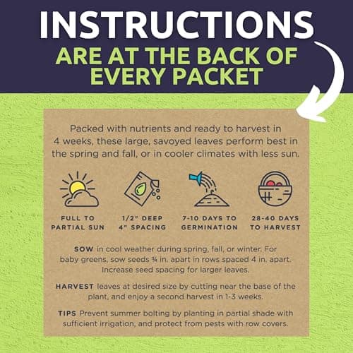 Organic Healthy Greens Seeds Variety Pack - 12 Individual Packs - 2025 Season - Arugula, Kale, Swiss Chard, Spinach, Mustard & More! for Indoor & Outdoor Planting (Non-GMO, Certified Organic)