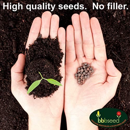 Drought Tolerant Wildflower Seeds - 4oz, Open-Pollinated Bulk Flower Seed Mix for Beautiful Perennial, Annual Garden Flowers - No Fillers - 4 oz Packet
