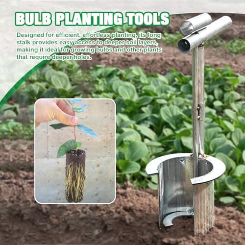 2 Pack Bulb Planter Tool Stainless Steel, Plant and Fruit Tree Seedling Transplanter, Bulb Transplanter Tool for Digging Holes to Transplanting