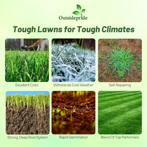 Outsidepride Combat Extreme Northern Zone - 5 Lbs Cold-Hardy, Drought-Resistant Turf Type Tall Fescue & Kentucky Bluegrass Lawn Grass Seed Blend, OptiGrowth Coated for Better Establishment
