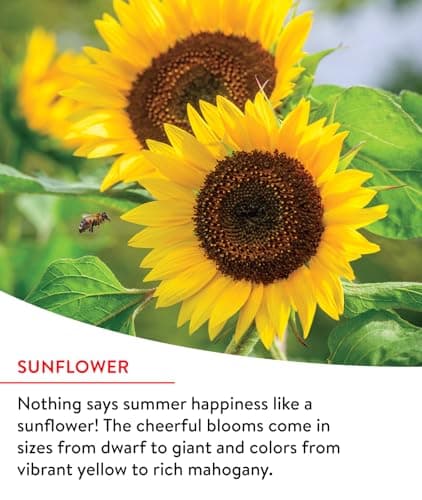 Burpee Fast Blooming 25,000 Non-GMO Planting, 1 Bag Easy Grow Wildflower Seed Mix Contains 14 Flower Varieties for Home Garden