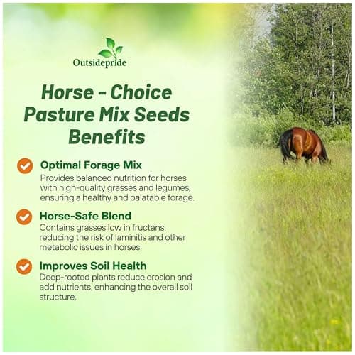 Outsidepride Horse Choice Pasture & Livestock Grass Seed Mix - 25 Lbs Perennial, Drought Tolerant, Cold Hardy, & High Yield Lawn Grass Seeds for Grazing, Hay, Silage, & Greenchop