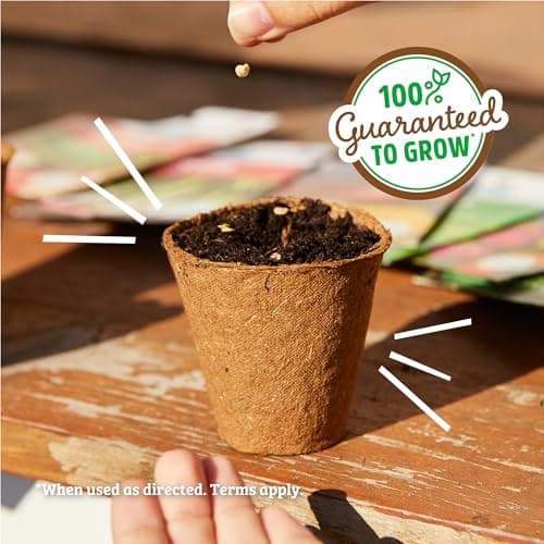 Seed Packet - Chives 'Garlic' 140mg