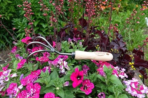 Tierra Garden DeWit 3-Tine Cultivator with Short Handle, Works as Garden Hoe and Tiller (31-0904)
