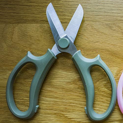 Leize Flower Scissors, Premium Thickened Stainless Steel Floral Shears, Strong Pruner for Flowers, Branches and Leaves (Grey Green)