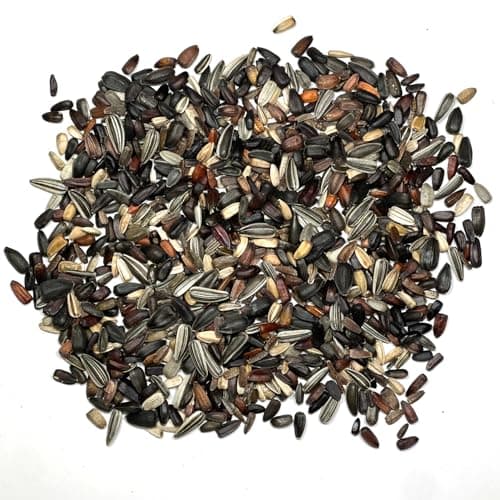 Seed Needs Sunflower Seeds for Planting The Original Crazy Blend | 1 Ounce 15+ Heirloom Varieties Open Pollinated & Untreated | Resealable Bulk Package Multicolored Blooms Flower Seeds