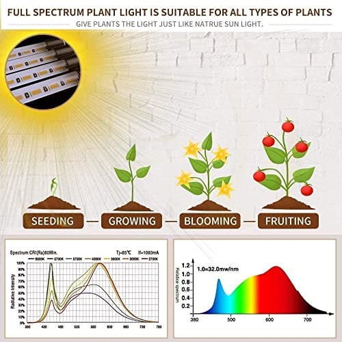 bseah Grow Light Plant Light Indoor Plants, Full Spectrum Clip Plant Growing Lamp, 10-Level Dimmable, Auto On Off Timing 3 9 12Hrs (2 Pack)