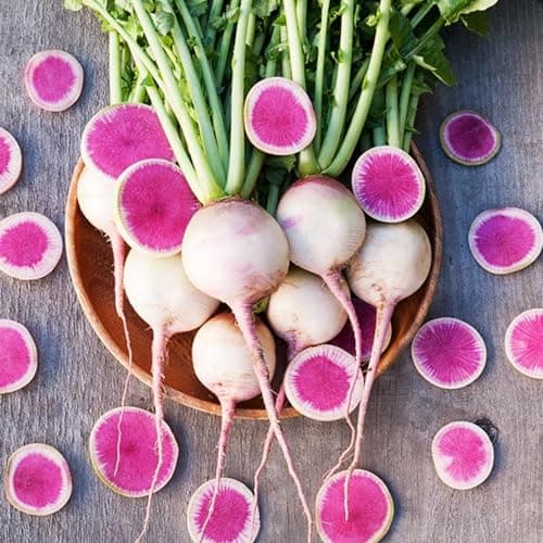 7 Types Radish Seeds Pack for Planting -900+ Including Cherry Belle, Watermelon Radish, Purple Plum and Daikon Individually Packed, Red Radish, Mixed Radish Seeds for Home Outdoor