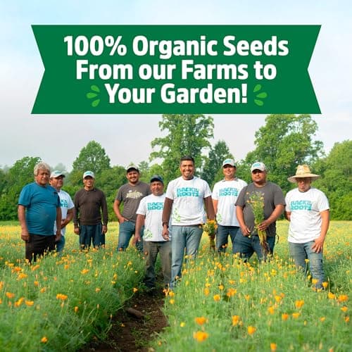 Back to the Roots Heirloom Organic, Non-GMO & USA Grown Seeds, 30ct Herb, Fruit, and Veggies, Assortment May Vary, Guaranteed to Grow