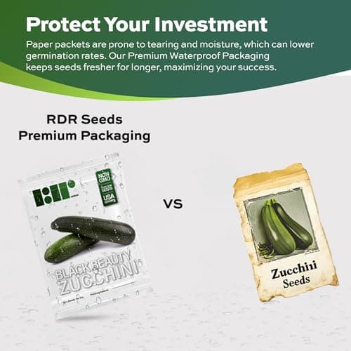50 Black Beauty Zucchini Seeds for Planting – Heirloom, Non-GMO, USA Grown – Summer Squash (Cucurbita Pepo) – by RDR Seeds