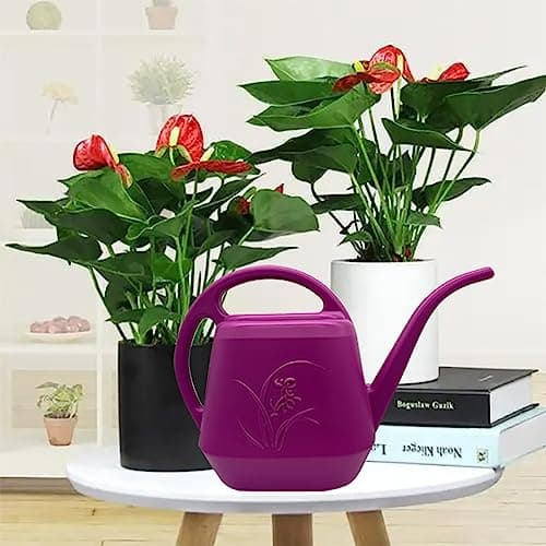 Watering Can - for Home Plant Garden - 1/2 Gallon - Rose Red