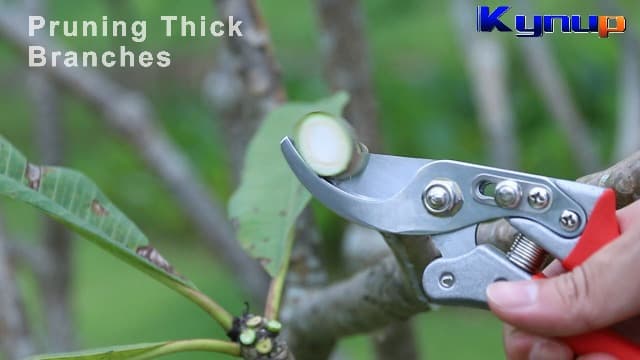 Kynup Pruning Shears, Gardening Pruners Scissors, Professional Bypass Hand Shears Heavy Duty, Pruners for Gardening, Garden Clippers, Hedge Shears, Garden Tools(Red)