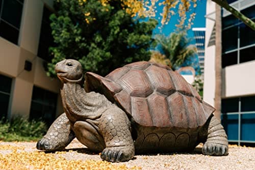 XBrand 28" L Brown and Black Concrete/MgO Walking Tortoise Statue, Indoor or Outdoor Décor, Garden Sculptures, Turtle Garden Statue