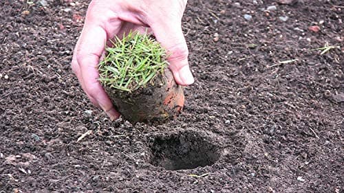 5-in-1 ProPlugger Bulb Planter - Long Handle, Sod Plugger, Weeding Tool - Made in USA