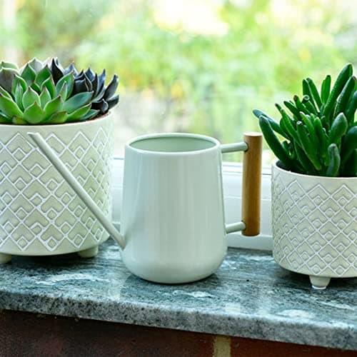 Burgon & Ball Indoor Watering Can, 0.7 Litre Capacity, Green