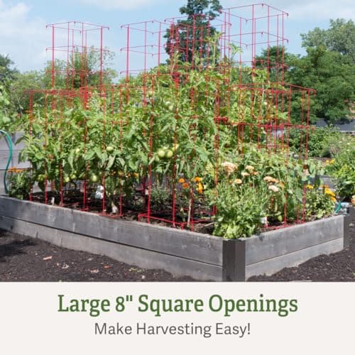 Gardener’s Supply Company Extra Tall Heavy-Guage Square Tomato Cages | Easy Fold Plant Supports & Vegetable Garden Stakes | 14.25" x 14.25" x 65" - Red (Set of 2)