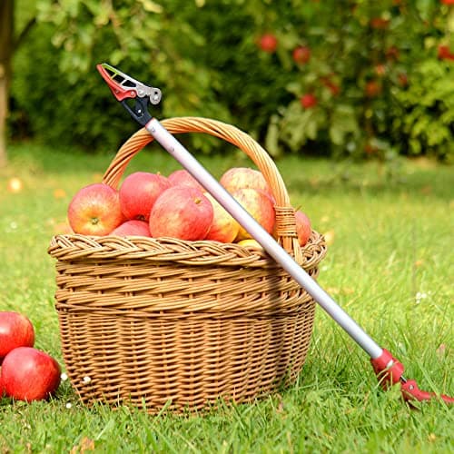 32-Inch Cut and Hold Pruners, Long-Reach Tree Pruner with Rotating Cutter Head, Long Pruning Shears for Garden, Fruit Picking, Branches Trimming