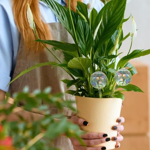 4 Pcs Plant Watering Globes,Rainbow Gradient Glass Watering Devices,Self Watering Planter Insert Plant Accessories for Indoor,Outdoor,Flowerpot,Hanging Plants,Home Garden,8.7" L×2.8" D