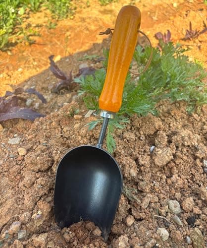 12.6’’ Garden Hand Trowel, Soil Scoop Wooden Handle, Stainless Steel Potting Shovel Spoon, for Flower Vegetables Soil Transplanting, Weeding, Moving, Digging, Planting Garden Plant