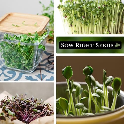 Sow Right Seeds - Microgreens Seed Sample Pack - 10 Packets of Healthy Superfoods to Sprout and Grow Indoors on Your Kitchen Counter - Broccoli, Cress, Sunflower, Arugula, Kale, Radish, Pea, and More