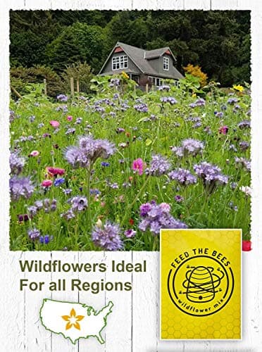 American Meadows Wildflower Seed Packets Feed The Bees'' Party Favors (Pack of 20) - Pollinator Wildflower Seed Mix to Attract Hummingbirds, Bees, and Butterflies, Party Favor for Any Occasion