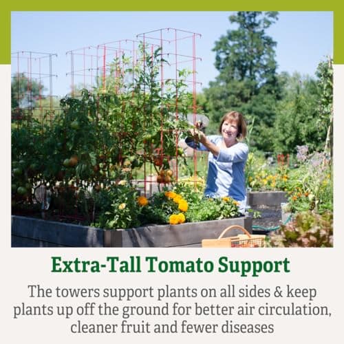 Gardener’s Supply Company Extra Tall Heavy-Guage Square Tomato Cages | Easy Fold Plant Supports & Vegetable Garden Stakes | 14.25" x 14.25" x 65" - Red (Set of 2)