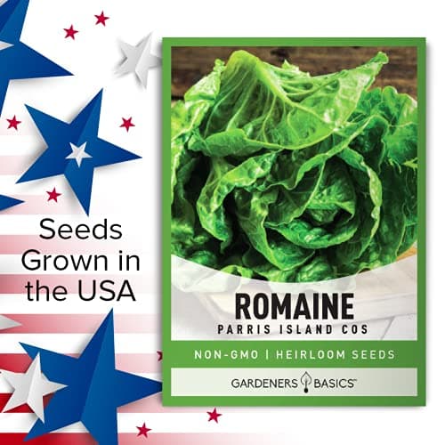 Gardeners Basics, Romaine Lettuce Seeds for Planting - Parris Island Cos Heirloom, Non-GMO Vegetable Variety- 2 Grams Seeds Great for Spring, Summer, Fall, Winter Garden and Hydroponics