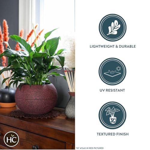 The HC Companies 8 Inch Atlas Sphere Planter - Lightweight Decorative Round Indoor Outdoor Plastic Plant Pot for Herbs and Flowers, Brown