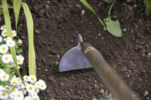 Stainless Steel Long Handled Draw Hoe