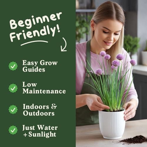 Organic Chive Seeds for Planting Indoor and Outdoor, Non-GMO and USDA Certified Herb Seed Packet for Hydroponic Garden Indoor or Planting Outdoors (Common Chives)