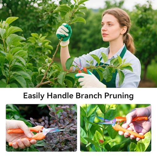 QMVESS Stainless Steel Garden Shears, Precision Cutting Pruning Shears, Lightweight Ergonomic Garden Clippers with Titanium Coating Straight Blade 3 Pcs Gardening Shears, Pruning Shears for Gardening