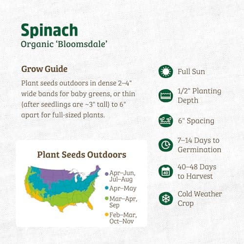 Seed Packet - Spinach