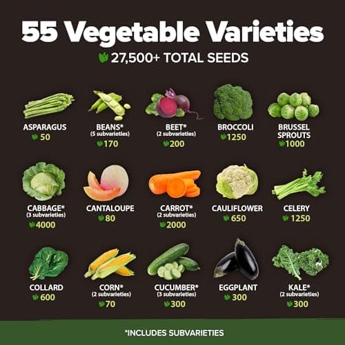 HOME GROWN 55 Vegetable Seeds Pack – 28,000+ 𝗨𝗦𝗔 Heirloom 𝗡𝗢𝗡-𝗚𝗠𝗢 Seeds for Planting – Spring, Fall, Winter Garden Kit – Survival Seed Vault for Preppers & Gardeners – Gift for Men & Women