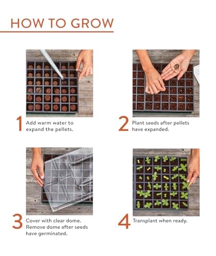 Burpee Greenhouse Indoor Starting Herbs, Flowers and Vegetables | Includes Dome, Watering, Seed Starter Tray, Coir Pellets | 10" W x 20" L x 5" H, One Size, 1 Kit (72 Cells)