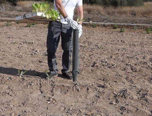 Bulb Planter Tool for Vegetables and Bulbs– Manual Seedling Transplanter with Sharp and Reinforced Tip – Durable and Stainless Steel Gardening Tool for Soft Loam Soil – Easy Garden Planting