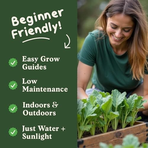 Organic Spinach Seeds for Indoor Gardening or Planting Outdoors, Non-GMO and USDA Certified Vegetable Seed Packets, 350 Seeds/4 Grams (Bloomsdale Spinach)