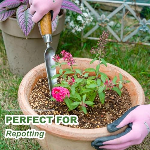 Haliaeetus Seeding Widger, Stainless Steel Garden Planting Trowel for Repotting, Long and Narrow Widger for Weeding from Tight Areas, Hand Transplanter with Wood Handle for Planting, Weeding, Digging