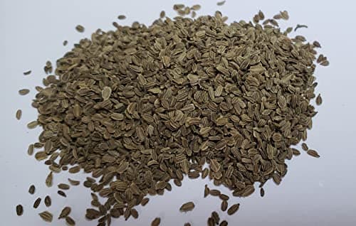 “New Kuroda” Carrot Seeds – Fast-Growing Carrot – Harvest in 75 Days | Daucus Carota VAR. Sativus | Never GMO, Always Heirloom and Open-Pollinated | USA Grown Seeds by Liliana's Garden |