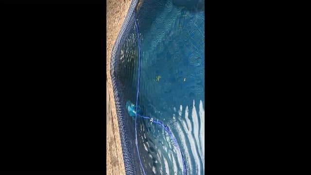 VEVOR Suction Pool Cleaner, Automatic Pool Vacuum Cleaner, Suction Side Automatic Pool Cleaner, Suction Vacuum Pool Sweeper with 12 Hoses, for In-ground Pool and Above-Ground Pool Up to 20 x 35 ft