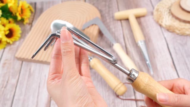 Lasnten 5 Pcs Dibber Garden Tool Set, Heavy Duty Seed Planter Gardening Tools with Hand Dibber, Hand Crack Weeder, Transplanter, Big Trowel, 3-Claw Cultivator for Planting Flowers, Gardening Gifts