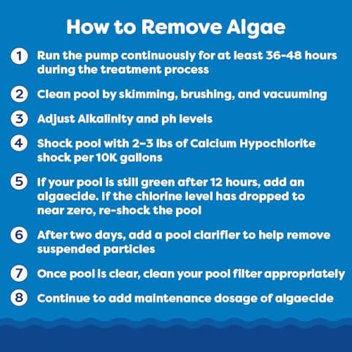 In The Swim Super Algaecide for Above Ground or Inground Swimming Pools – Low Odor, Non-Foaming Preventative for Yellow/Mustard Algae in Swimming Pools - 7.1% Chelated Copper – 1 Quart